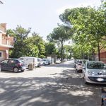 Rent a room in Guidonia Montecelio