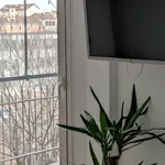 Rent 1 bedroom apartment of 37 m² in Milano