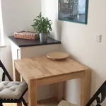 Rent 1 bedroom apartment of 47 m² in Frankfurt