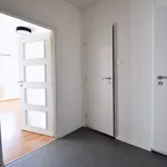 Rent 1 bedroom apartment of 32 m² in Brno