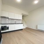 Huur 2 slaapkamer appartement van 45 m² in Binnenstad-Zuid