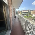 Rent 3 bedroom apartment of 130 m² in Padova