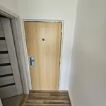 Rent 1 bedroom apartment of 35 m² in Duchcov