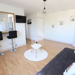 Appartement de 30 m² avec 1 chambre(s) en location à orléans