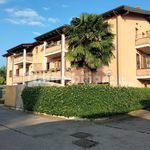 Rent 2 bedroom apartment of 50 m² in Reggio nell'Emilia