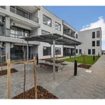 Rent 2 bedroom apartment in Adelaide