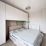 Rent 2 bedroom apartment of 50 m² in Turin