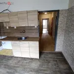 Pronajměte si 4 ložnic/e byt o rozloze 92 m² v Jindřichův Hradec