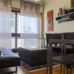 Rent 1 bedroom apartment in porto