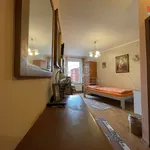 Rent 1 bedroom apartment in Brno