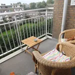 Huur 3 slaapkamer appartement van 70 m² in Den Haag