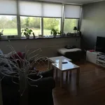 Huur 2 slaapkamer appartement van 42 m² in Harskamp