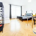 Rent 1 bedroom apartment in Praha 3