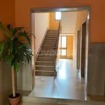 Rent 2 bedroom apartment of 70 m² in Torino