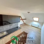 Rent 1 bedroom apartment of 22 m² in Volyně