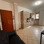 Rent 2 bedroom apartment of 60 m² in Vinovo