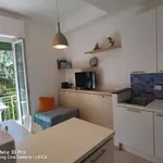 Affitto 2 camera appartamento di 50 m² in Lerici