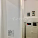 Rent 1 bedroom apartment of 25 m² in Torino