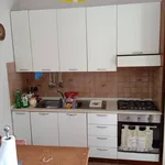 Rent 2 bedroom apartment of 70 m² in Vibo Valentia