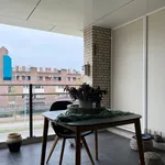 Rent 3 bedroom apartment of 88 m² in Zeelst