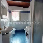 Rent 2 bedroom apartment of 50 m² in Bologna