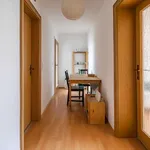 Rent a room of 58 m² in munich