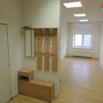 Rent 1 bedroom apartment of 30 m² in Ostrava