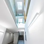 Rent 4 bedroom apartment of 82 m² in Vienna