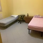 Rent 3 bedroom apartment of 80 m² in Bologna