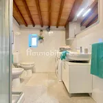 Rent 4 bedroom apartment of 72 m² in Pisa