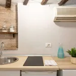 Rent 1 bedroom apartment in rome