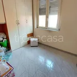 Rent 4 bedroom apartment of 110 m² in Somma Vesuviana