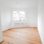 Rent 4 bedroom apartment of 135 m² in Appiano sulla strada del vino