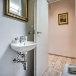 Rent 1 bedroom apartment in Florence