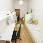 Rent 1 bedroom apartment of 10 m² in Brno