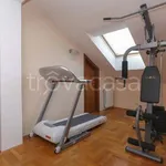 Rent 11 bedroom house of 180 m² in Pietrasanta