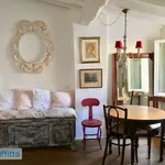 Rent 2 bedroom apartment of 35 m² in Florence