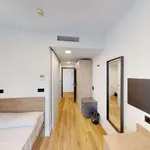 Alquilo 1 dormitorio apartamento de 18 m² en alicante