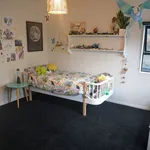 Rent 3 bedroom house in Auckland