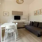 2-room flat viale Euclide 50, Villamarina Mare, Cesenatico