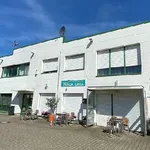 Rent 1 bedroom apartment of 34 m² in Krefeld