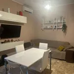 Rent 2 bedroom apartment of 54 m² in Turin