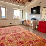 Rent 3 bedroom apartment of 50 m² in Siena