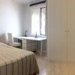 Rent 3 bedroom apartment in Madrid