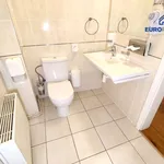 Rent 4 bedroom apartment of 110 m² in Plzeň