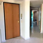 Attico arredato con terrazzo Civitavecchia