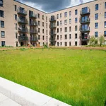 Rent 1 bedroom apartment in Edinburgh  East