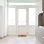 Rent 2 bedroom apartment of 45 m² in Torino