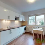 Rent 2 bedroom apartment of 40 m² in Brno