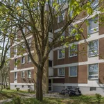 Rent 3 bedroom apartment of 78 m² in Göttingen